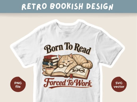 Cozy Reader Aesthetic: The 